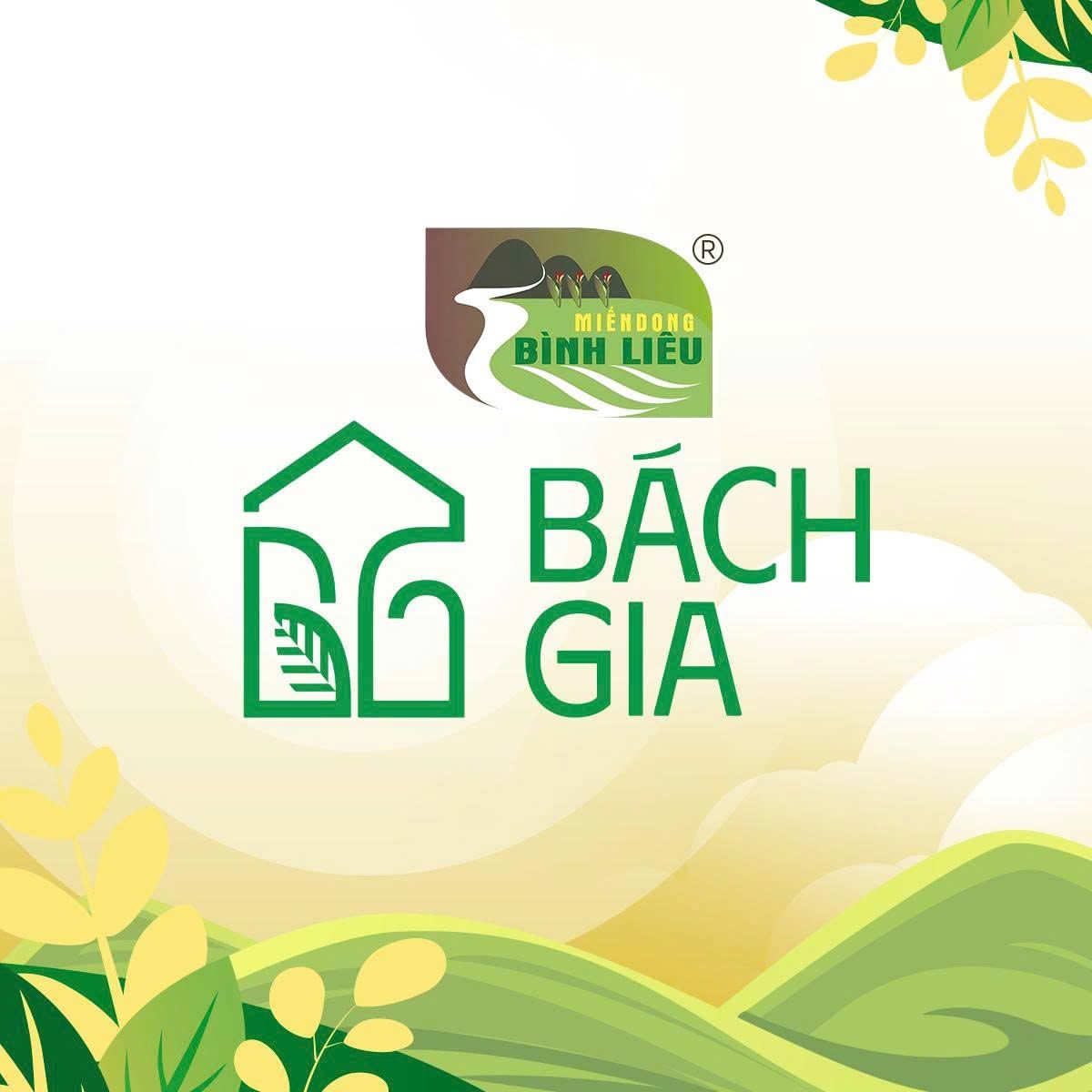 Công ty Cổ phần Thương mại và Dịch vụ Bình Liêu