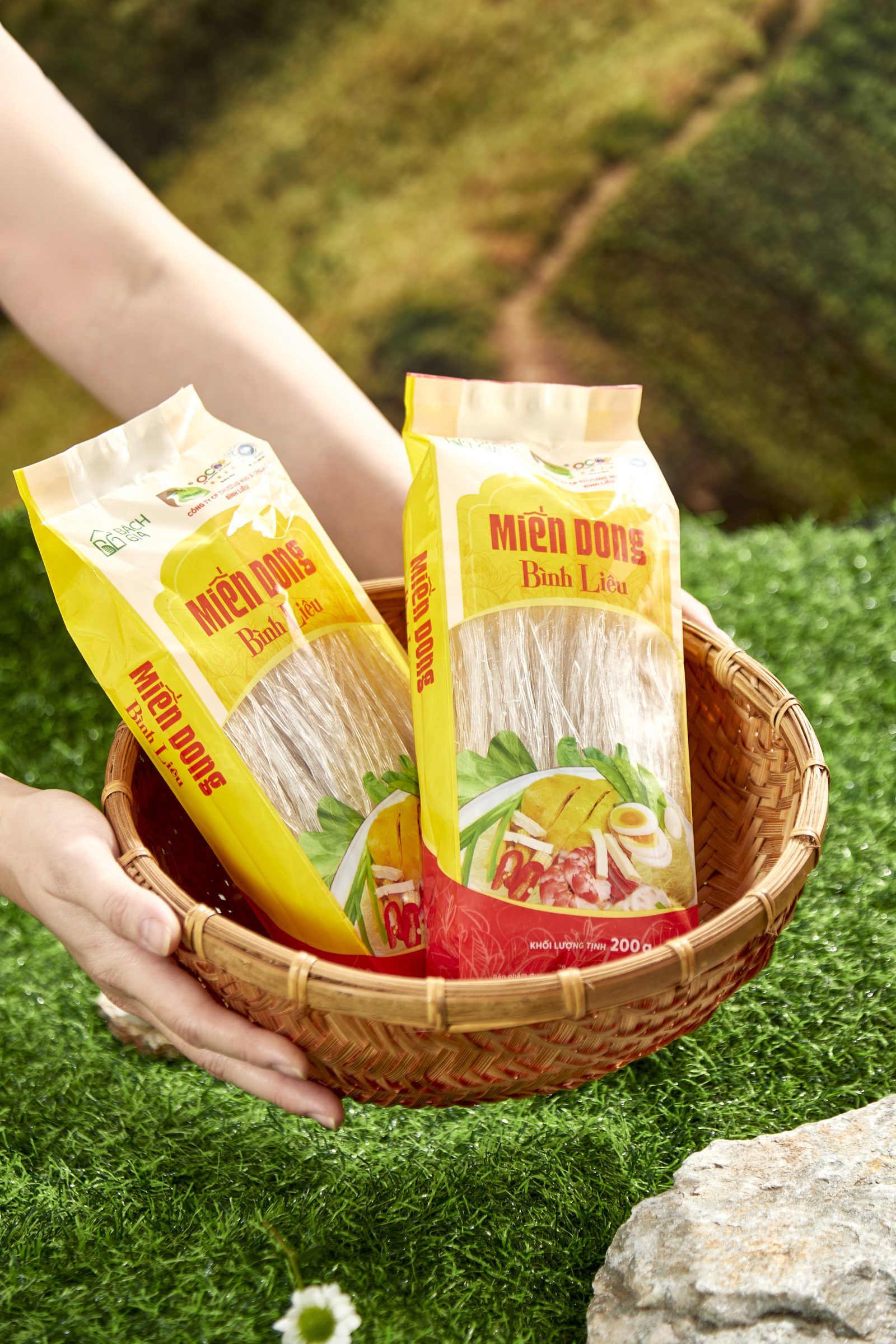 Miến Dong Bình Liêu Túi Nilon 200g