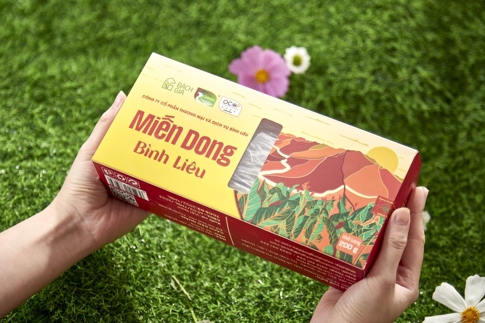 Miến Dong Bình Liêu Loại Hộp Giấy 200g