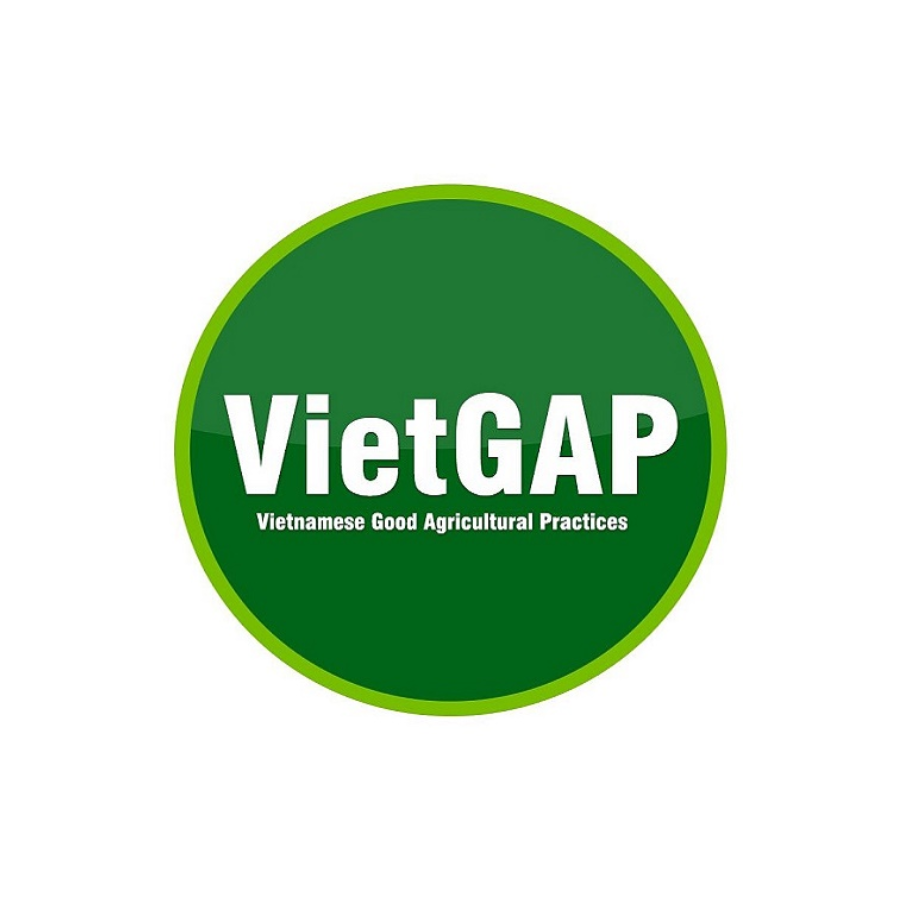 Chứng chỉ VietGAP