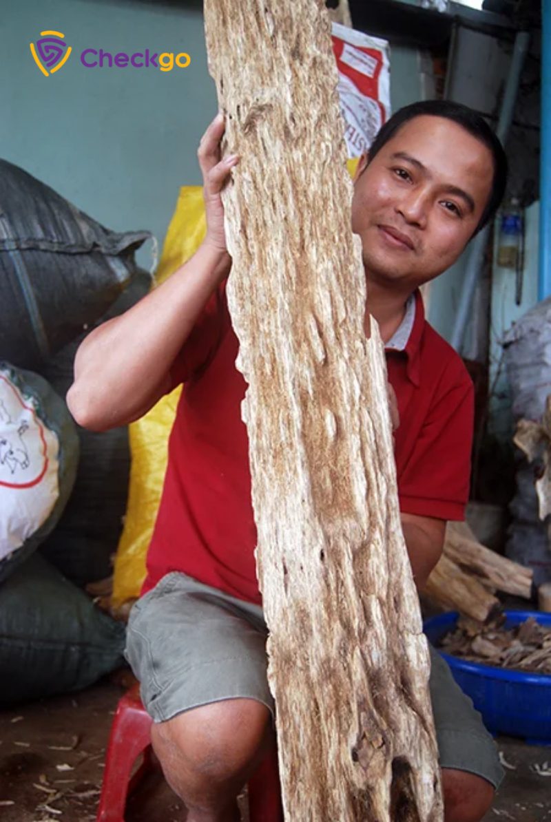 Quảng Nam: Thế mạnh từ nghề trầm và trầm cảnh