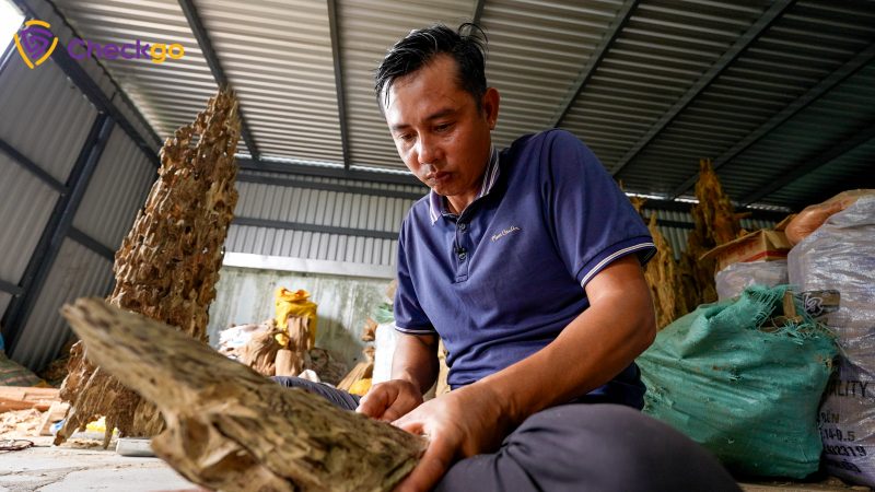 Nguồn gốc danh xưng “Xứ trầm hương” Khánh Hòa
