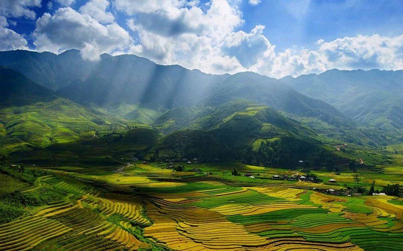 Vũ Tuấn Minh